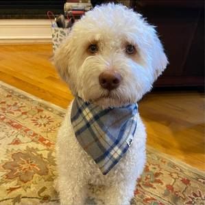 Meet your Posher, Carla